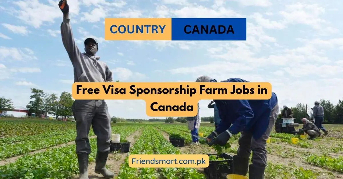 Free Visa Sponsorship Farm Jobs in Canada 2024 Apply Now