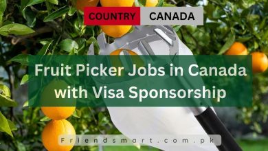 Photo of Fruit Picker Jobs in Canada with Visa Sponsorship 2024