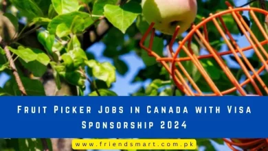 Photo of Fruit Picker Jobs in Canada with Visa Sponsorship 2024