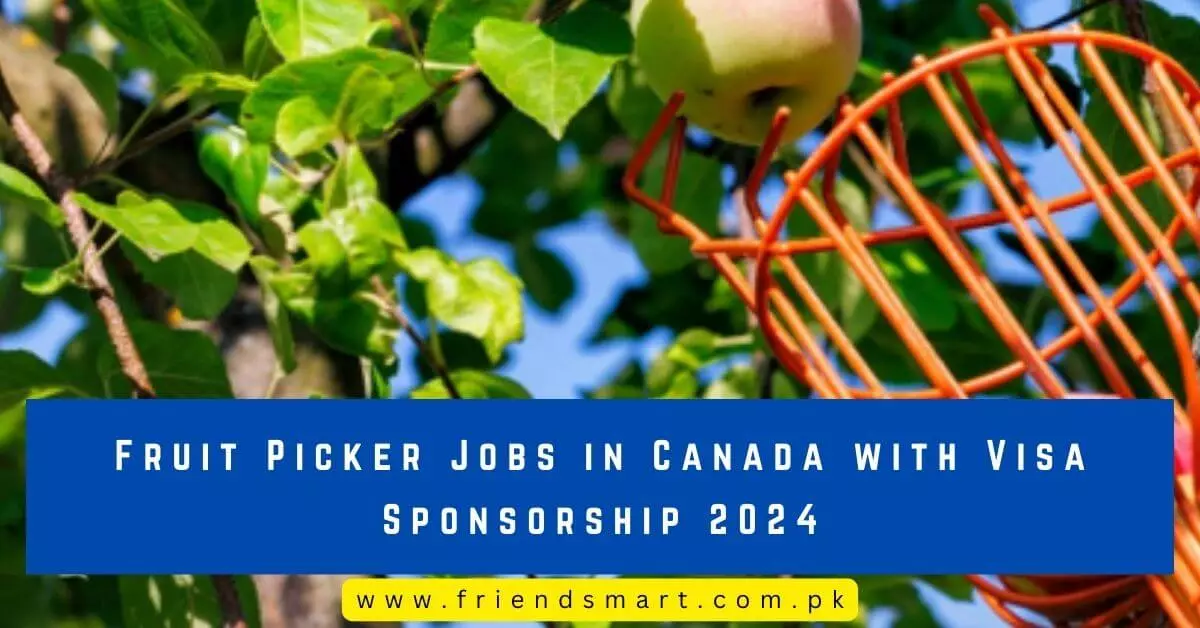 Fruit Picker Jobs in Canada with Visa Sponsorship