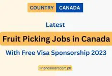 Photo of Fruit Picking Jobs in Canada With Free Visa  Sponsorship 2023 – Apply Now