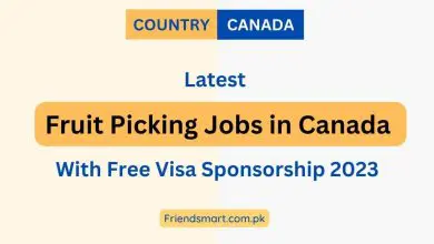 Photo of Fruit Picking Jobs in Canada With Free Visa  Sponsorship 2023 – Apply Now