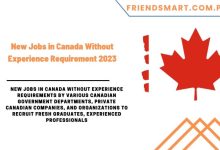 Photo of New Jobs in Canada Without Experience Requirement 2023