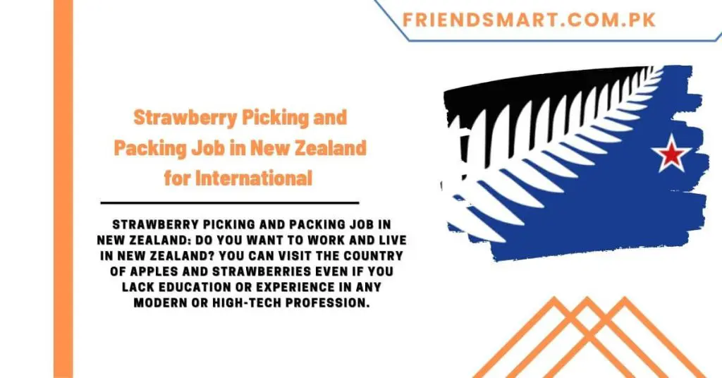 Strawberry Picking and Packing Job in New Zealand for International 