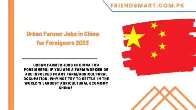 Photo of Urban Farmer Jobs in China for Foreigners 2023