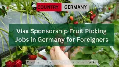 Photo of Visa Sponsorship Fruit Picking Jobs in Germany for Foreigners