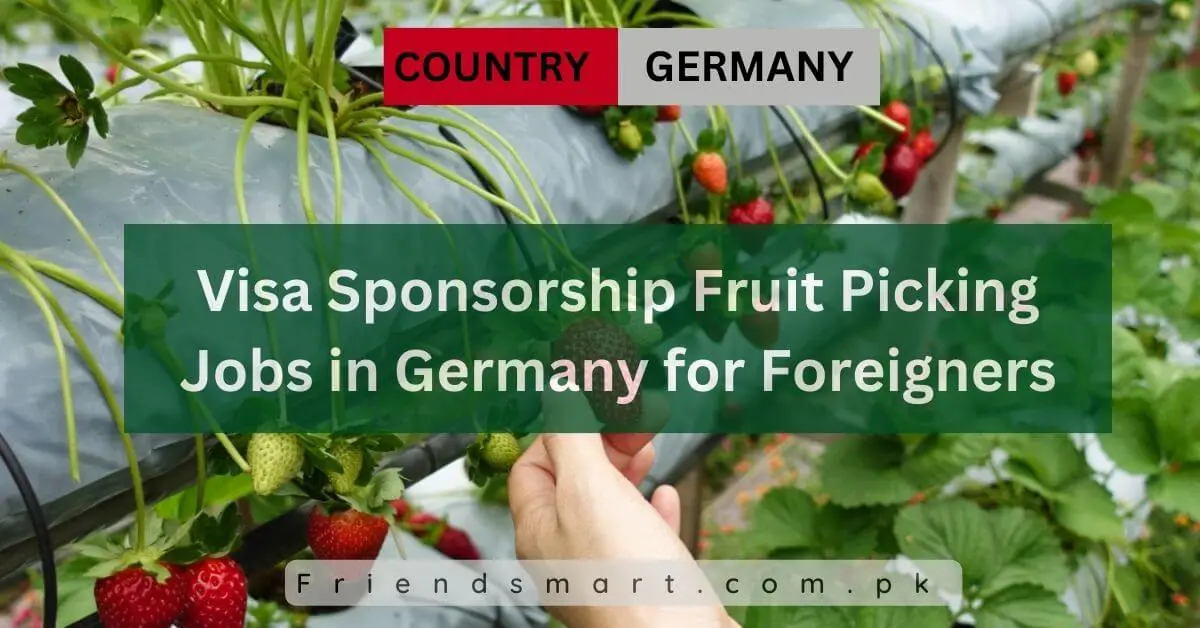 Visa Sponsorship Fruit Picking Jobs in Germany for Foreigners