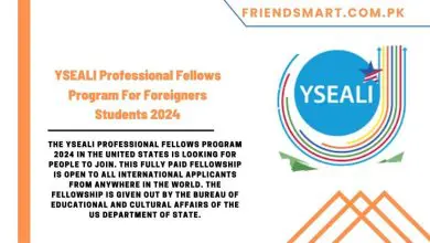 Photo of YSEALI Professional Fellows Program For Foreigners Students 2024