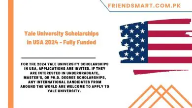Photo of Yale University Scholarships in USA 2024 – Fully Funded