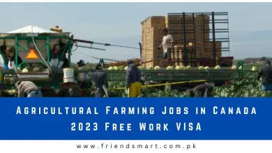 Photo of Agricultural Farming Jobs in Canada 2023 Free Work VISA