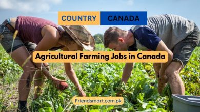 Photo of Agricultural Farming Jobs in Canada 2024 – Free Work VISA
