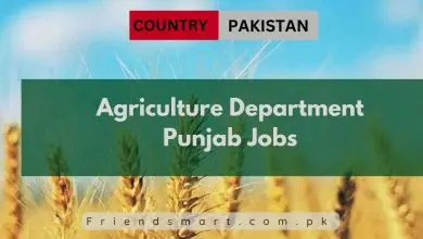 Photo of Agriculture Department Punjab Jobs 2024 – Apply Now