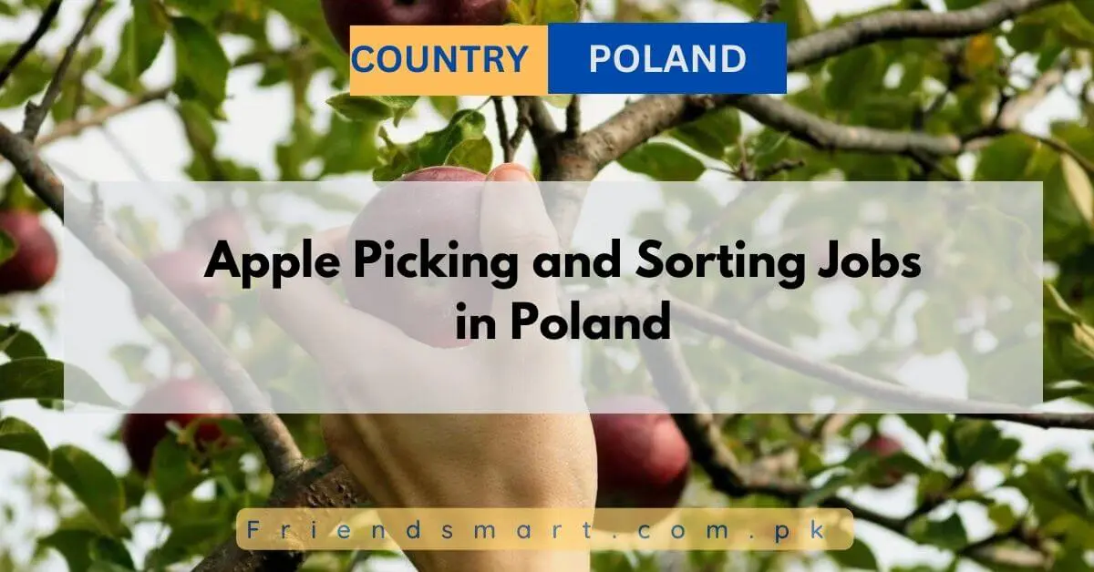 Apple Picking and Sorting Jobs in Poland