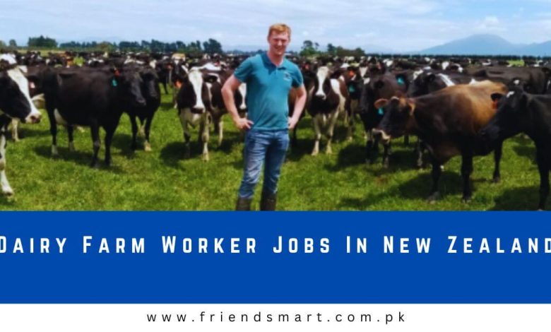 Photo of Dairy Farm Worker Jobs In New Zealand 2024 – Apply Now