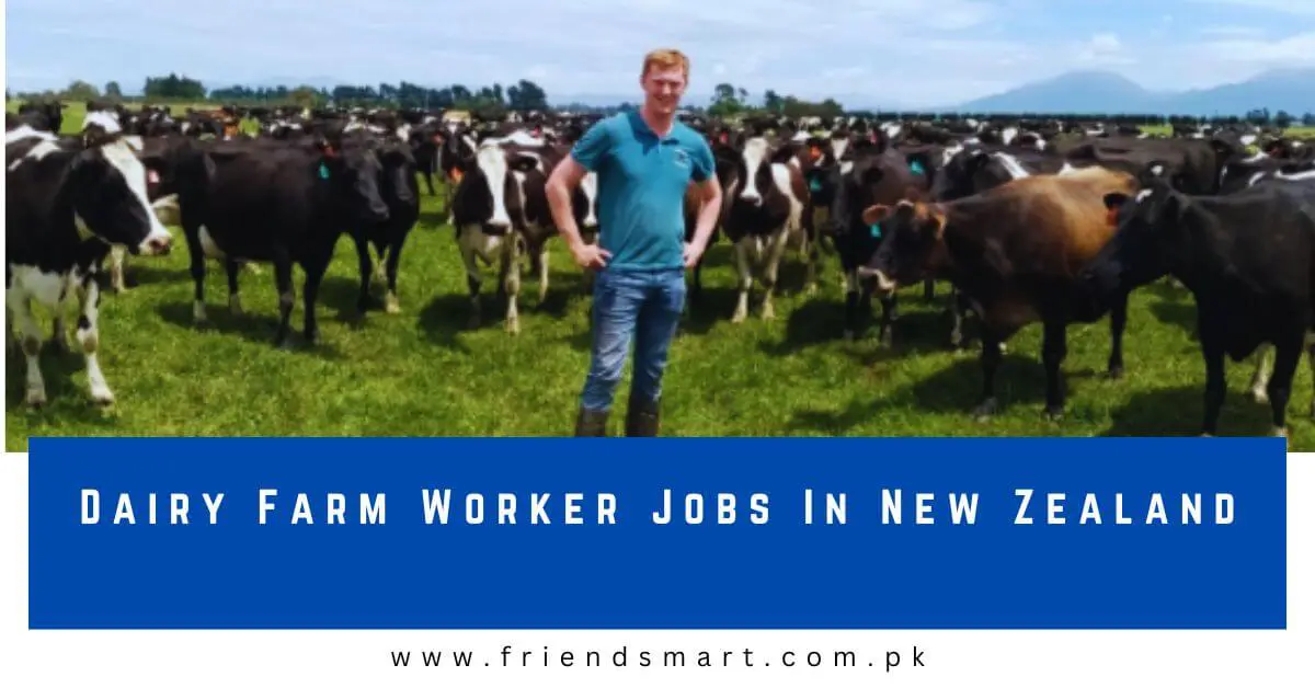 Dairy Farm Worker Jobs In New Zealand