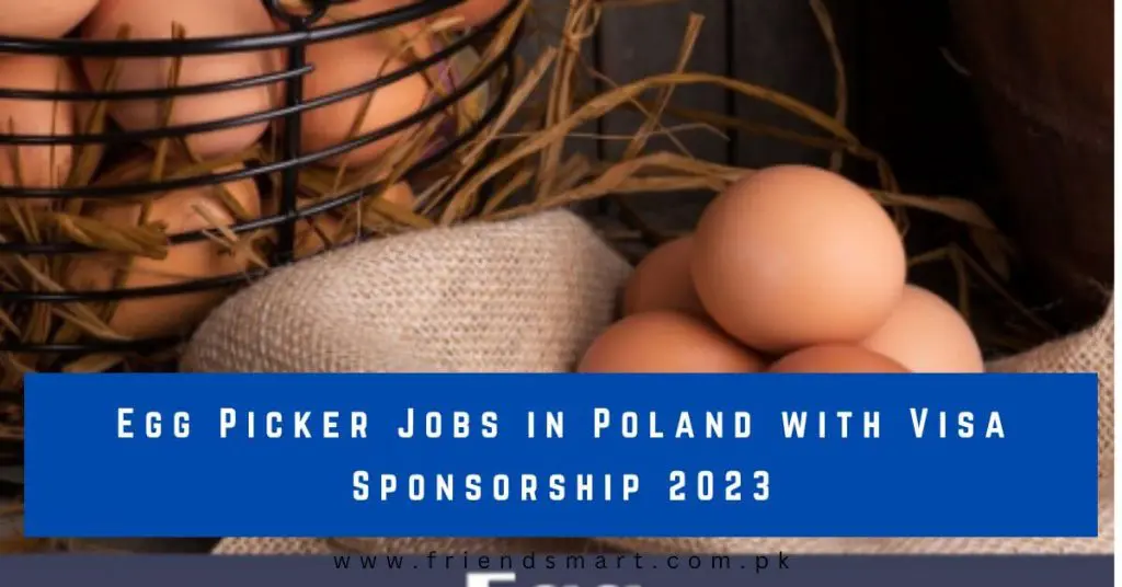 Egg Picker Jobs in Poland with Visa Sponsorship 2023