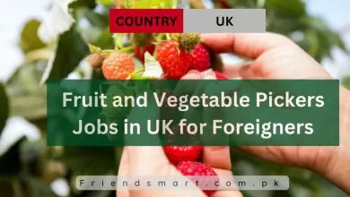 Photo of Fruit and Vegetable Pickers Jobs in UK for Foreigners