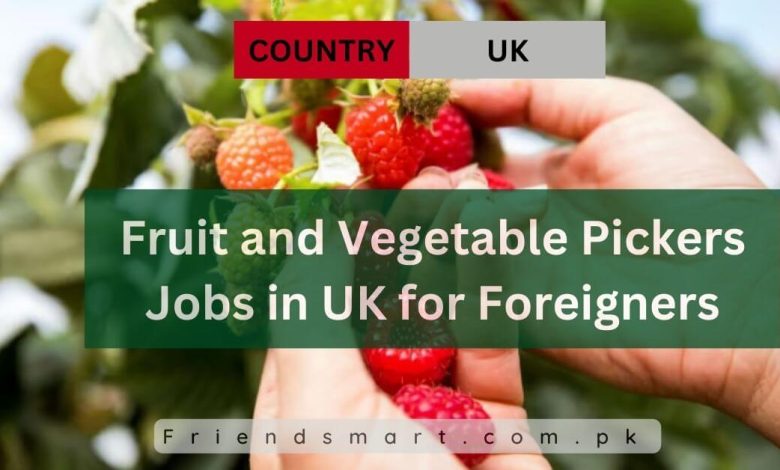 Photo of Fruit and Vegetable Pickers Jobs in UK for Foreigners