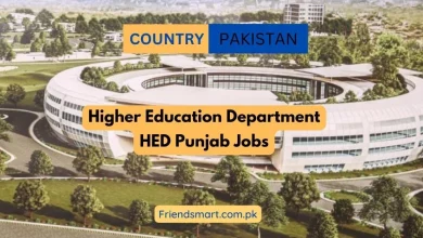 Photo of Higher Education Department HED Punjab Jobs 2024