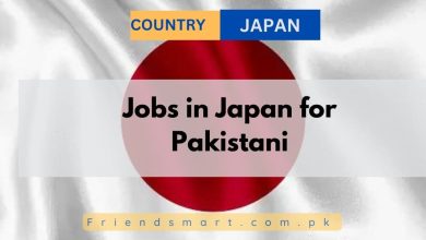 Photo of Jobs in Japan for Pakistani 2024 – Apply Here
