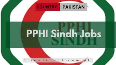 Photo of PPHI Sindh Jobs 2024 – Apply Online