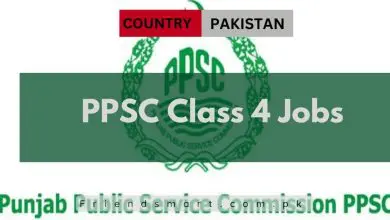 Photo of PPSC Class 4 Jobs 2024 – Apply Now