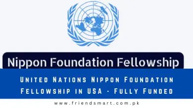 Photo of United Nations Nippon Foundation Fellowship in USA – Fully Funded