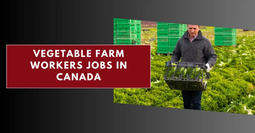 Vegetable Farm Workers Jobs in Canada