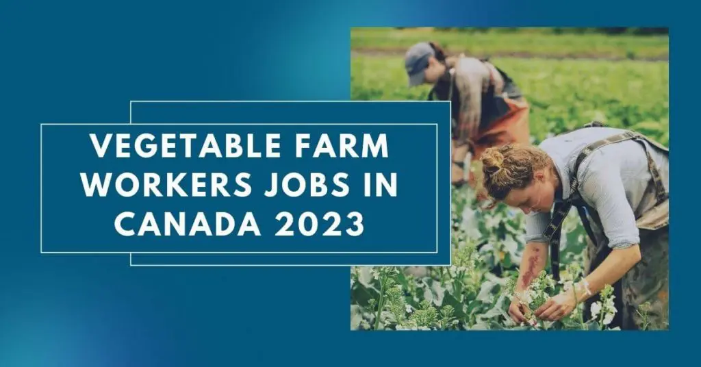 Vegetable Farm Workers Jobs in Canada 2023