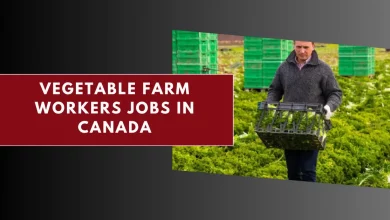 Photo of Vegetable Farm Workers Jobs in Canada 2025 – Apply Here