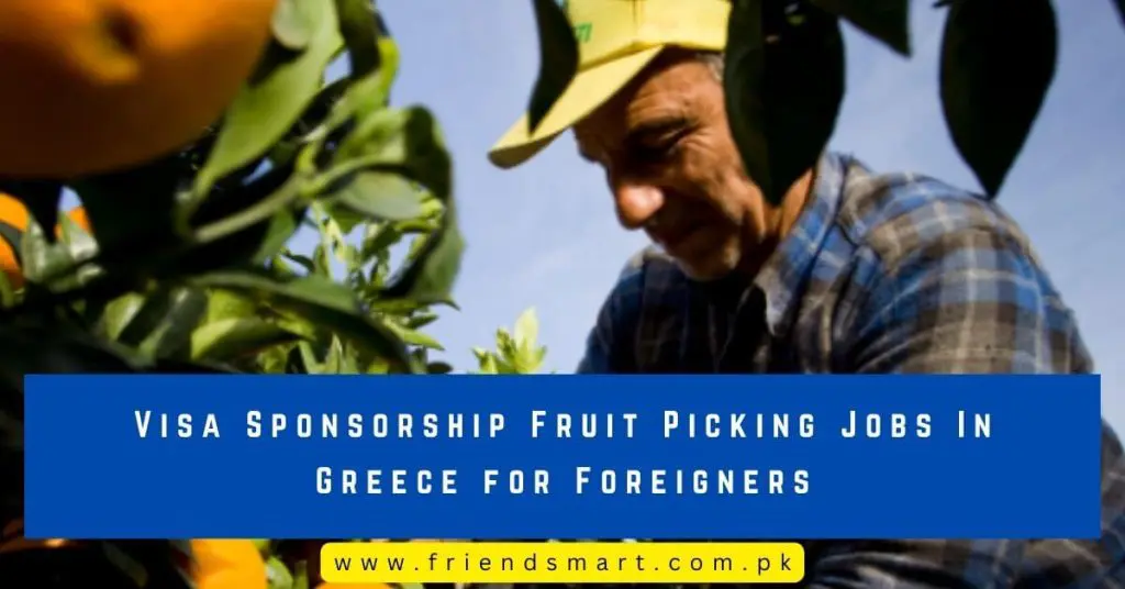 Visa Sponsorship Fruit Picking Jobs In Greece for Foreigners