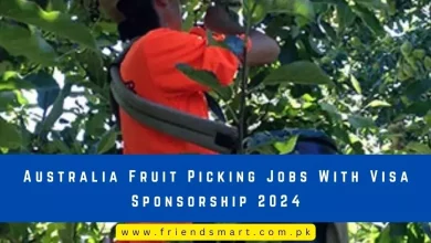Photo of Australia Fruit Picking Jobs With Visa Sponsorship 2024