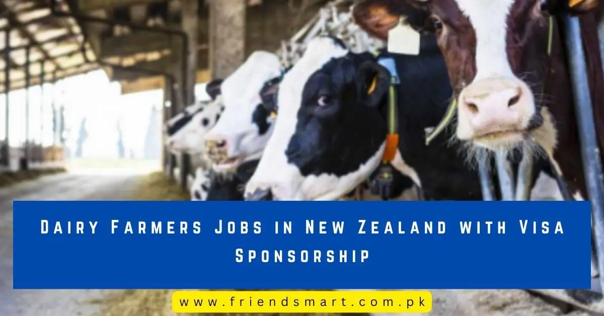 Dairy Farmers Jobs in New Zealand with Visa Sponsorship