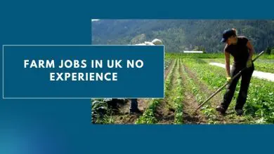 Photo of Farm Jobs in UK No Experience 2024 – Apply Now