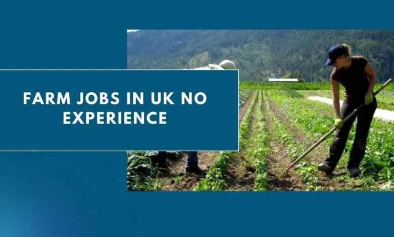 Photo of Farm Jobs in UK No Experience 2024 – Apply Now