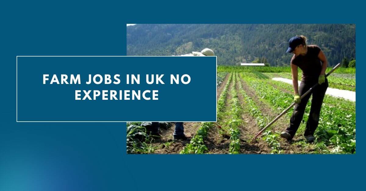 Farm Jobs in UK No Experience