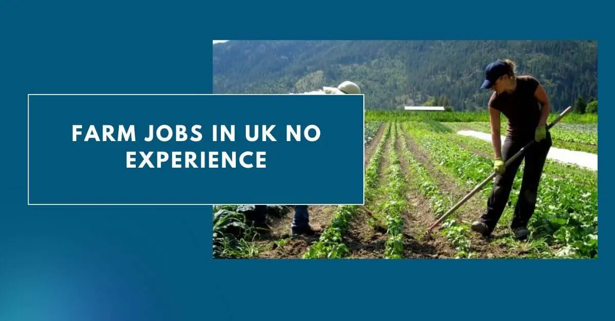 Farm Jobs in UK No Experience