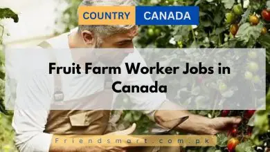 Photo of Fruit Farm Worker Jobs in Canada 2024 – Apply Now