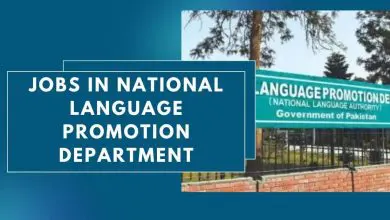 Photo of Jobs in National Language Promotion Department 2024