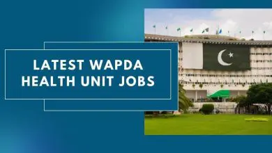 Photo of Latest Wapda Health Unit Jobs 2023 – Apply Now