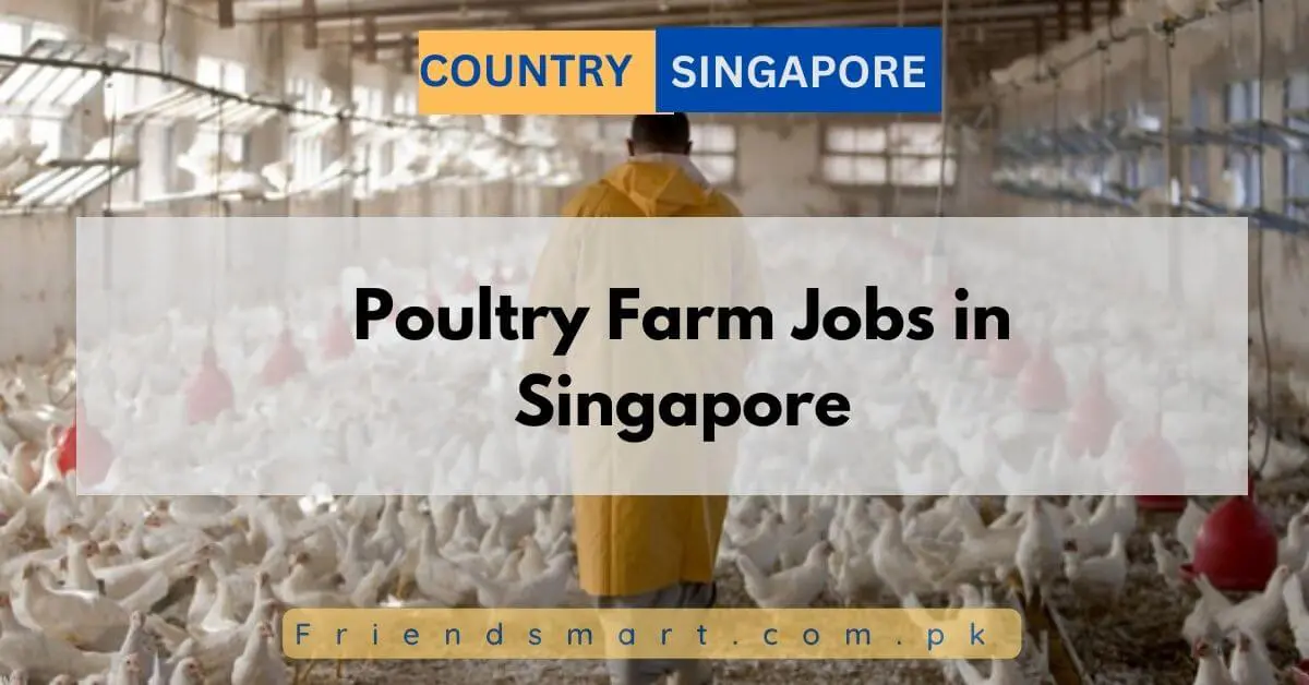 Poultry Farm Jobs in Singapore