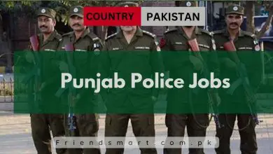Photo of Punjab Police Jobs 2024 – PPSC Jobs Apply Online
