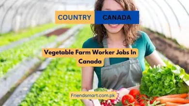 Photo of Vegetable Farm Worker Jobs In Canada 2024 – Apply Now