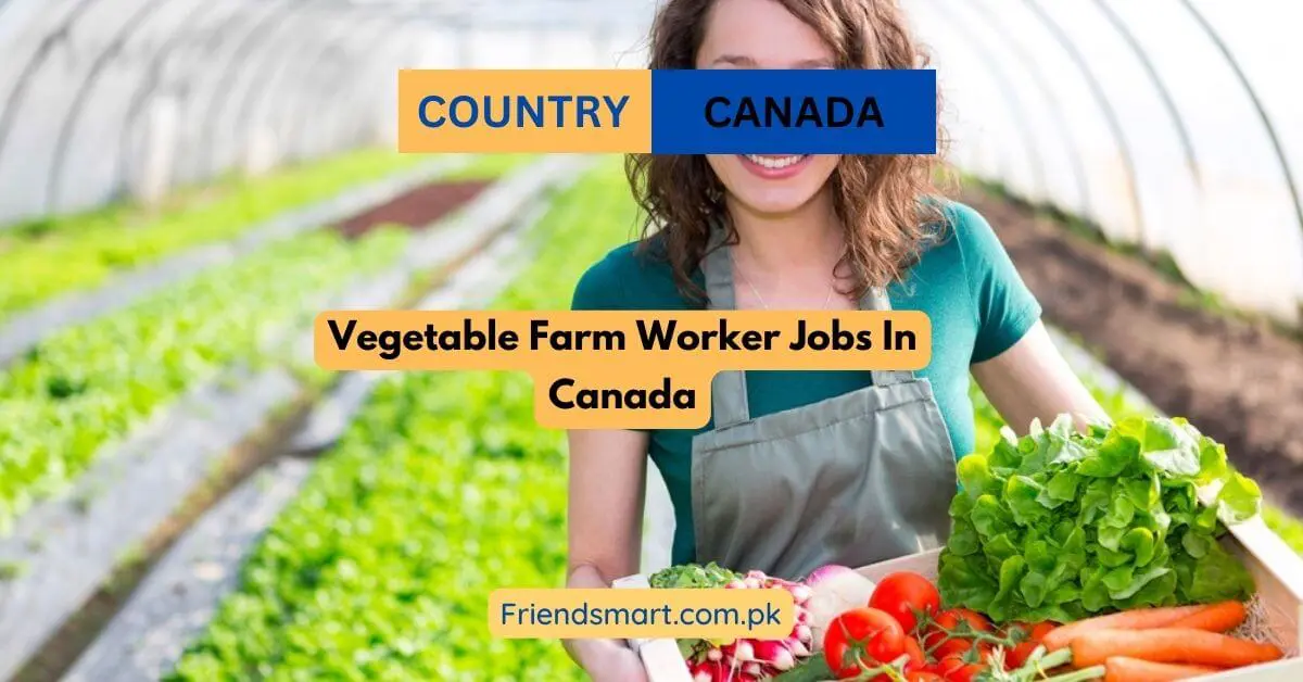 Vegetable Farm Worker Jobs In Canada