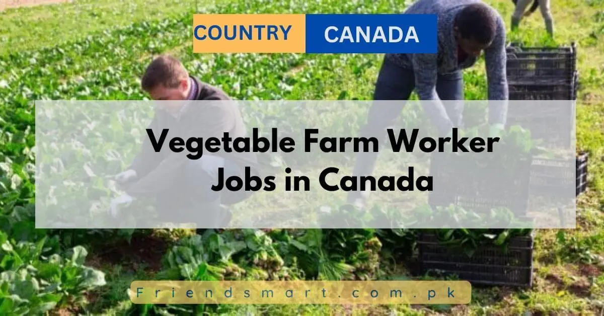 Vegetable Farm Worker Jobs in Canada