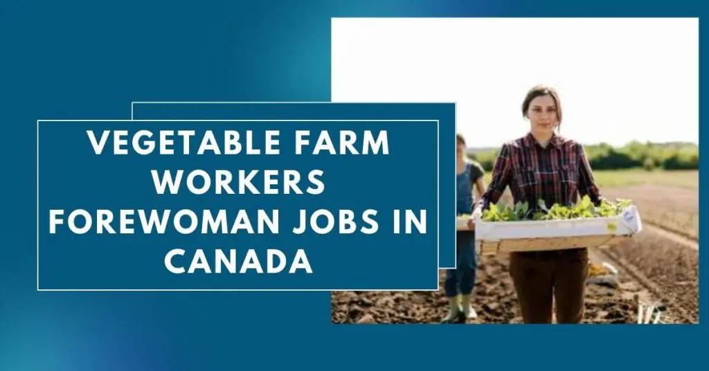 Vegetable Farm Workers Forewoman Jobs in Canada