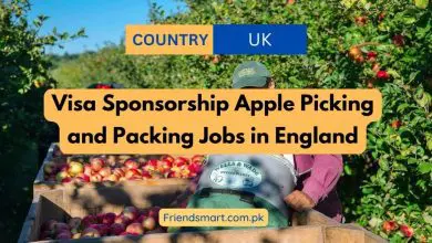 Photo of Visa Sponsorship Apple Picking and Packing Jobs in England