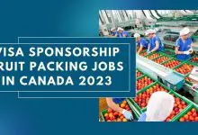 Photo of Visa Sponsorship Fruit Packing Jobs in Canada 2024 – Apply Now