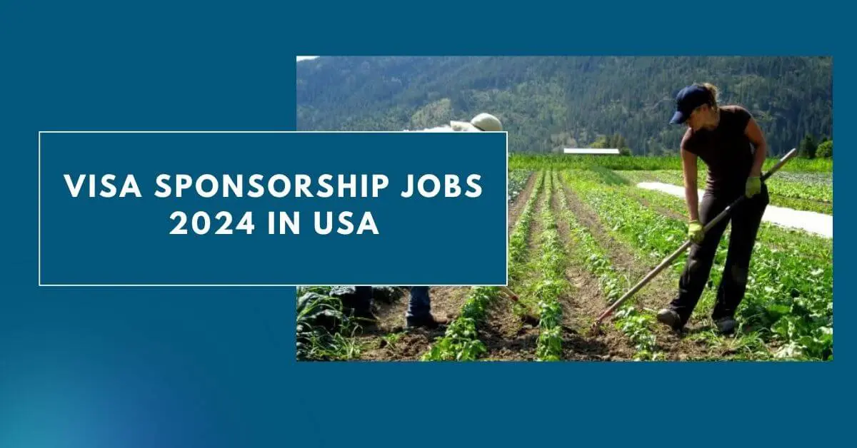 Visa Sponsorship Jobs 2024 in USA