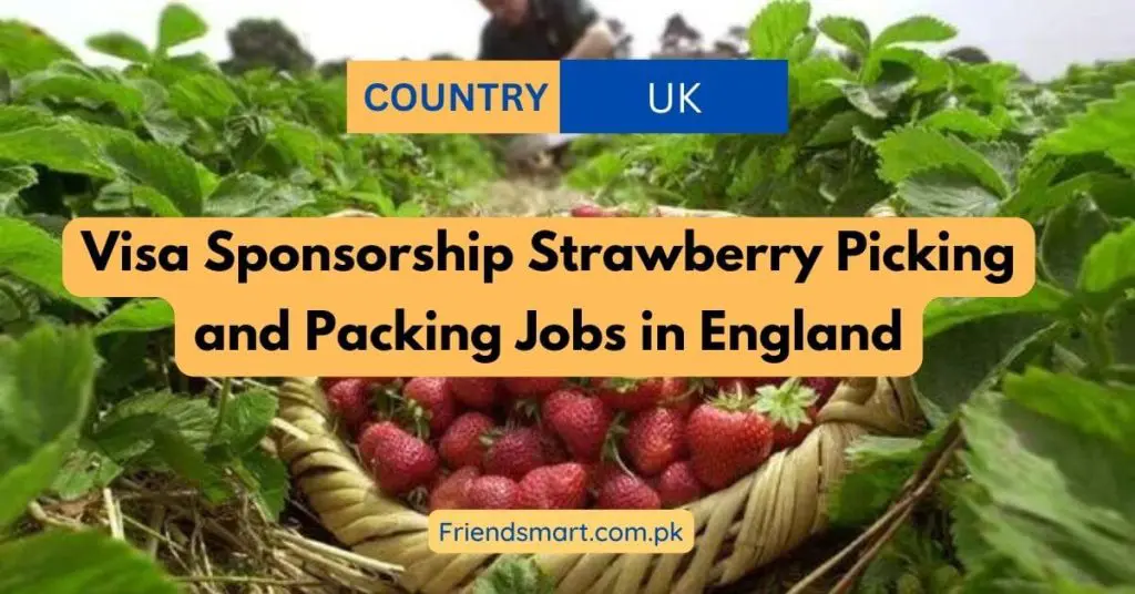 Visa Sponsorship Strawberry Picking and Packing Jobs in England